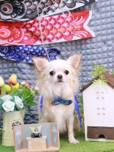 20230503うくちゃん